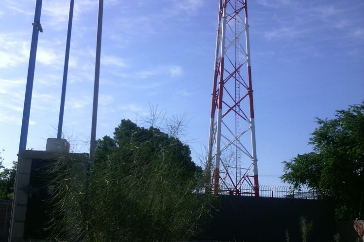 PARTICIPACIÓN EN EL DESARROLLO TECNOLOGICO DE MÉXICO